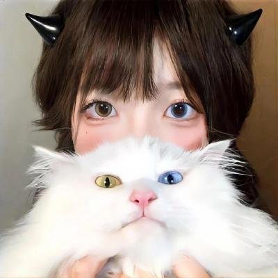 波普先生的企鹅